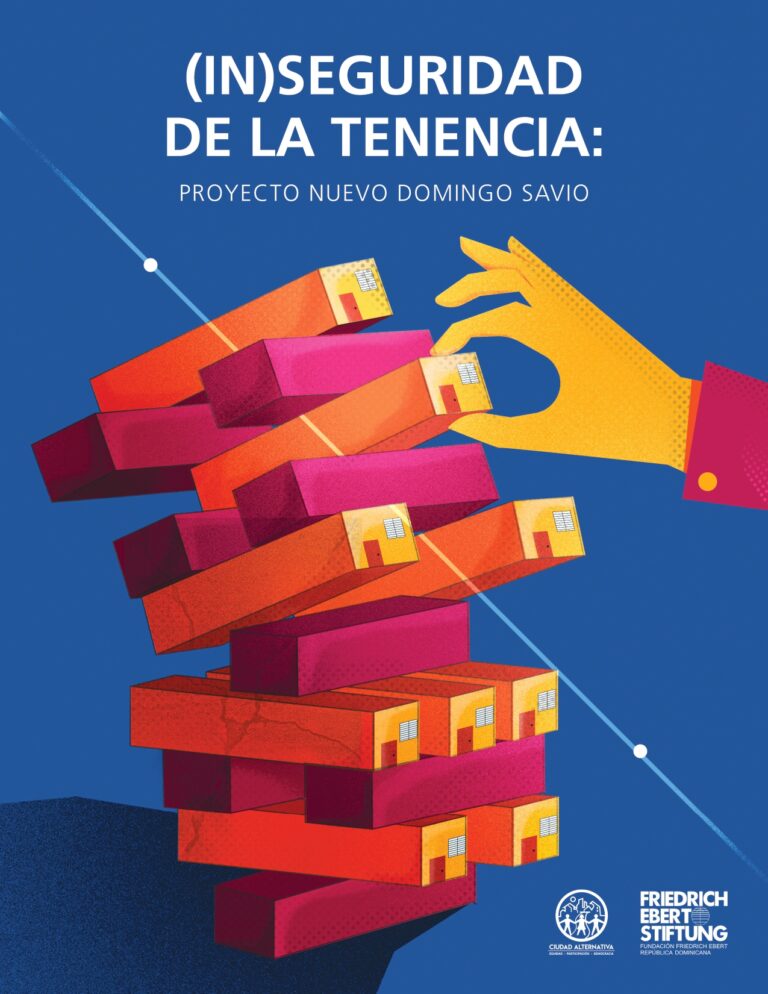 Portada: (IN)Seguridad de la tenencia: proyecto Nuevo Domingo Savio